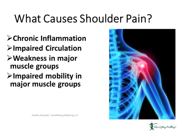 Preview: Learn common causes for shoulder pain - chronic inflammation, impaired circulation, weakness in major muscle groups, impaired mobility in major muscle groups