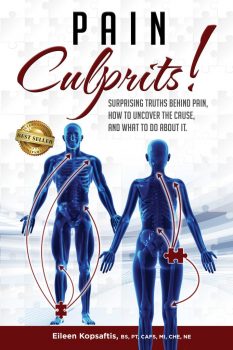 Pain Culprits Book Cover