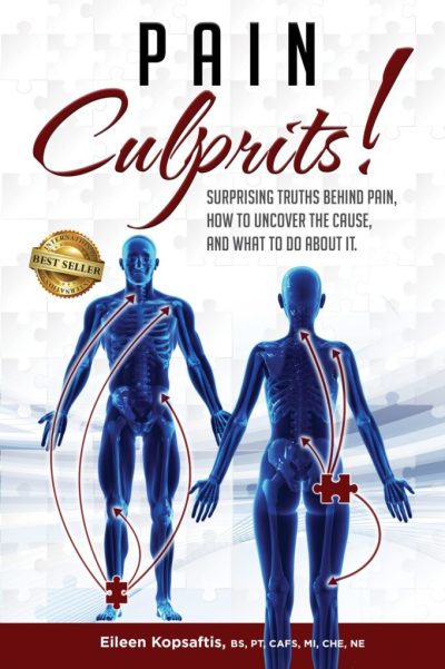 ek_pain_culprits_book_cover